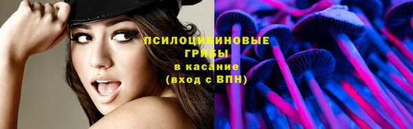 прущий лед Великий Новгород
