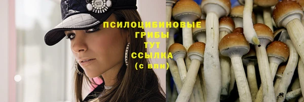 прущий лед Великий Новгород